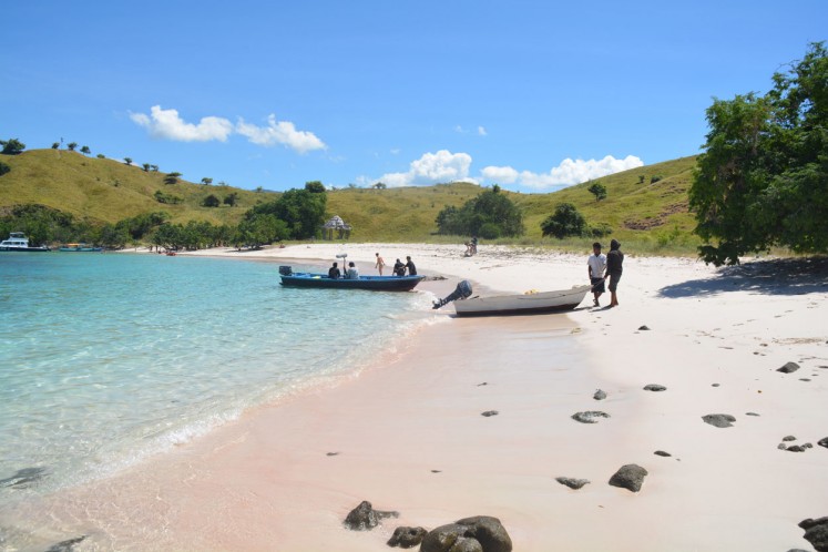 Domestic and foreign tourists are seen on Pink Beach in the Komodo National Park in West Manggarai, Flores, East Nusa Tenggara (NTT) on May 10, 2017. The site has become a popular spot for foreign visitors who want to enjoy the natural beach and underwater beauty.