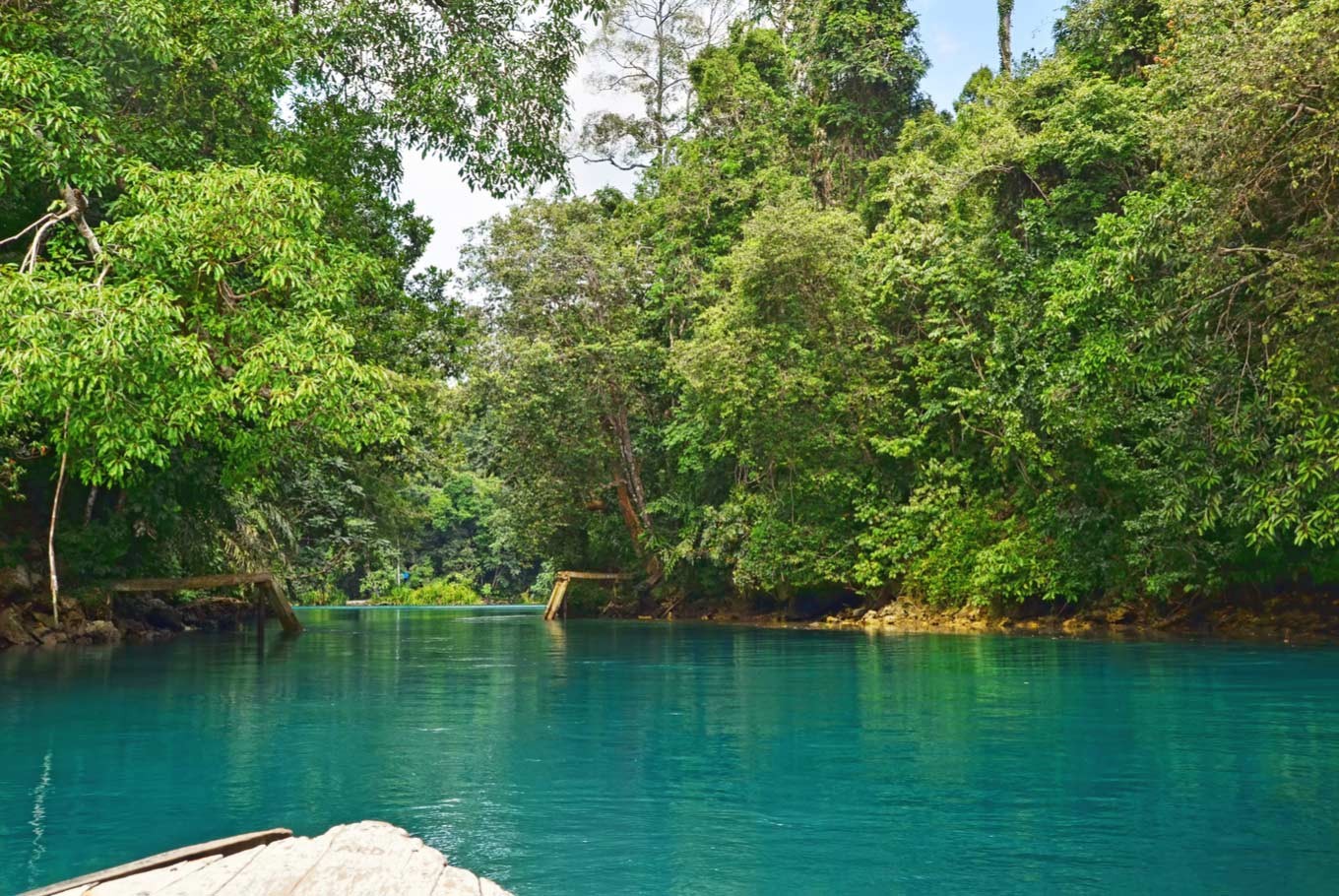 guardians-of-the-mangroves