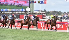 Jockey suspended for punching horse