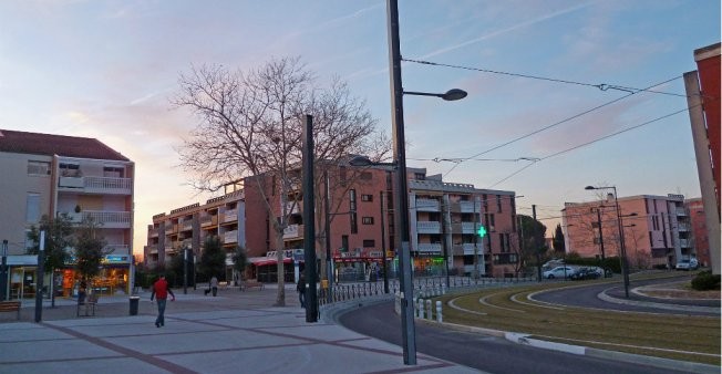 Three Chinese students hurt in car attack near Toulouse