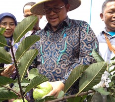 West Java key to achieving RI’s food self sufficiency targets