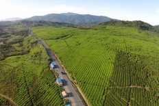 West Sumatra holds Pariaman Triathlon 2017