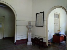 Treub laboratory will be reopened for world scientists