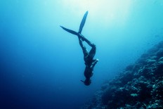 Sail Sabang 2017 highlights freediving, marine tourism