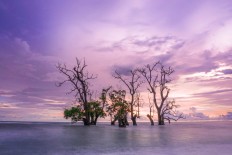 Ternate launches Enjoy Ternate tourism brand