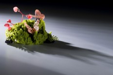 Bangkok restaurants fail to win three stars in debut Michelin Guide