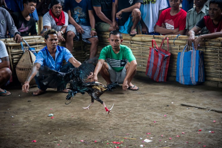 Far off Bali's tourist trail, heavily tattooed men gather at a clandestine site for traditional cockfighting known as tajen that meshes a bloodsport with ancient Balinese Hindu traditions.