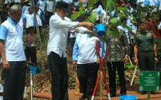 "Where are the trees?," Jokowi slams green programs