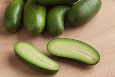 Meet the seedless avocado, and you can eat the skin too