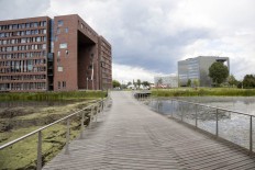 Wageningen University ranked world's greenest campus: UI survey