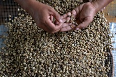 In the past few years, Margo Redjo has produced a wide array of coffee powders under different brands and prices, including Tjap Grobak Idjo, Tjap Orang Matjoel, Tjap Pisau, Koffie Sari Roso as well as Koffie Mirama.