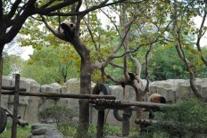 Shanghai tries to tame wild Chinese-English translations at public places