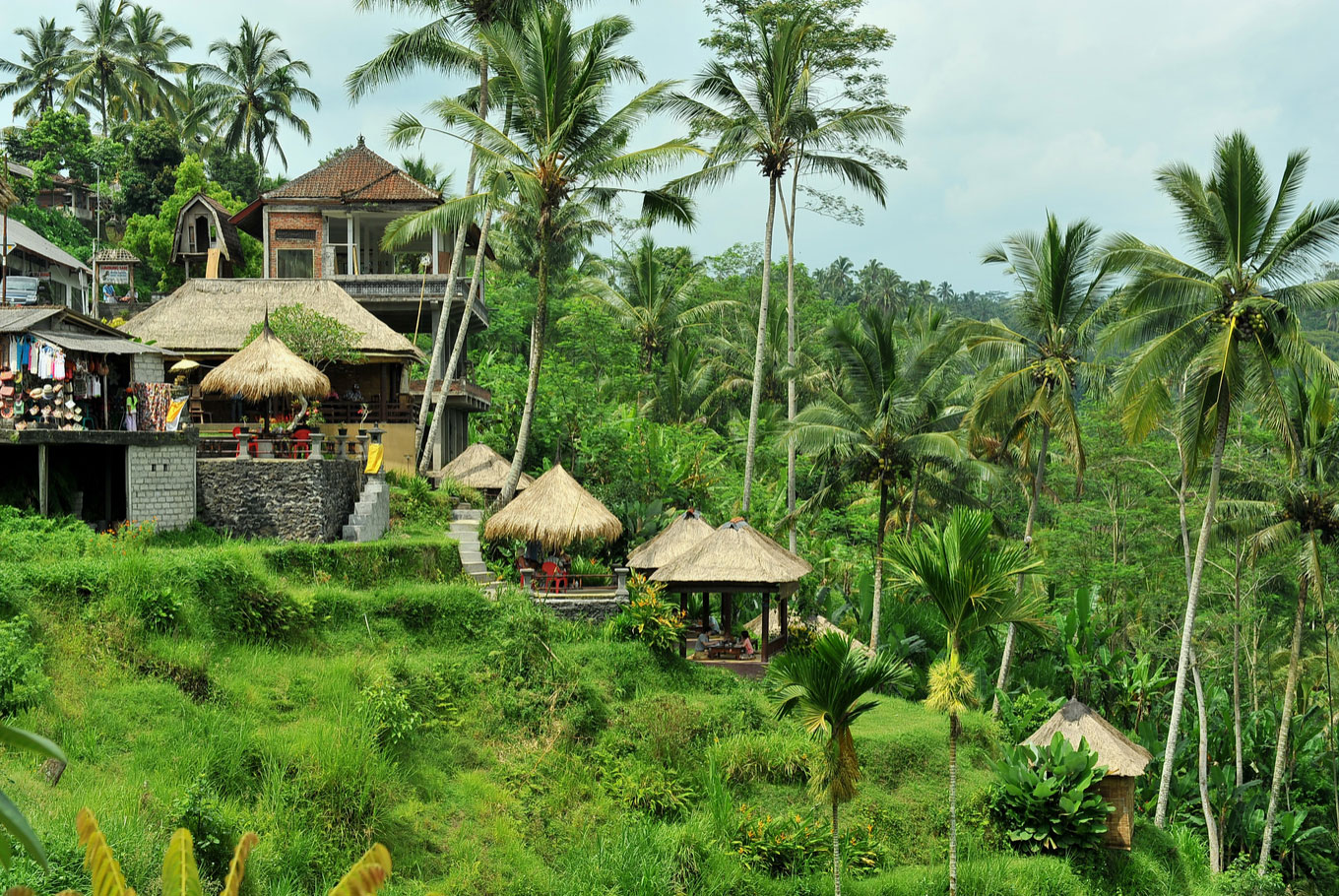 Unveiling gem in northern Bali: Mayong village - Destinations - The ...