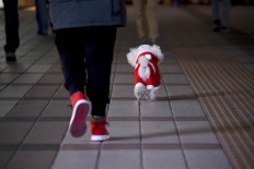 A dog dressed in a Christmas costume and its owner walk along a street in Beijing on December 24, 2017. AFP/Wang Zhao