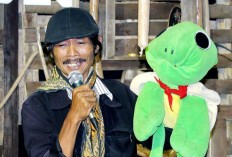 Turtle time to open young minds