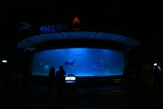 Jakpost guide to Ancol