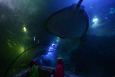 Stay the night at Sea World Jakarta with 'Camping Under the Sea'