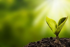 Don't worry late bloomers, your time will come