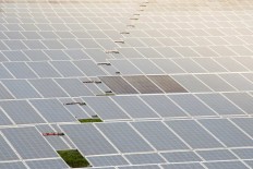 EDITORIAL: When interests collide