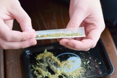 Man nabbed for marijuana seeds sent from Germany