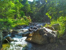 Gorontalo park seeks to lure more tourists with new sky bike ride 