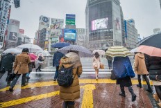 People living alone to account for 40% of Japanese households in 2040