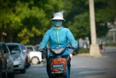 Transgenic cows produce 'safe' trial therapy for MERS