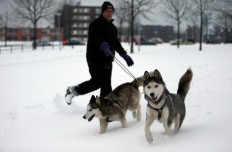  S. Korea dog meat restaurants refuse to stop serving for Olympics 