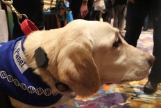 Man's best friend goes high tech at gadget fest