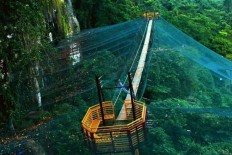 Snap a photo of South Sulawesi’s Butterfly Kingdom from above