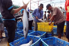 Indonesia invites Japanese firms to invest in fish shipment