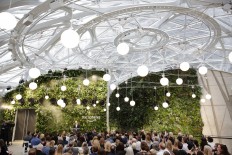 Amazon opens plant-filled 'The Spheres' buildings