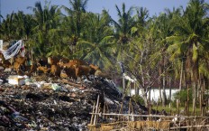 Ugly truth: Behind the comfort of five-star hotels on Gili Trawangan, West Nusa Tenggara, are piles of garbage left unattended due to poor waste management. JP/ Tarko Sudiarno