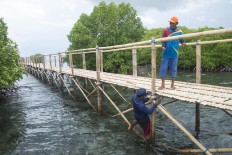 Connectivity: Locals build a bridge for mangrove tourism. JP/ Tarko Sudiarno