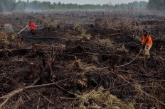 Jokowi calls for better forest fire mitigation as peak of dry season looms