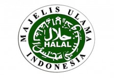 Ulema council, OJK to issue fatwa on sharia-based fintech lenders