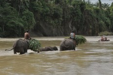 The future of travel: Doing your vacation homework