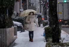 Snow returns to Tokyo disrupting transport, entrance exams