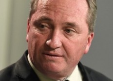 Uproar as ex-deputy Australia PM plans to sell love-child story