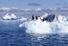 China to release do's and don'ts as more Chinese tourists visit Antarctica