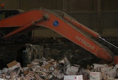 Pharos recalls, destroys food supplement after BPOM pork finding