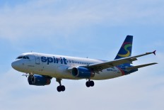 Pebbles, the 'emotional support' hamster flushed down the toilet