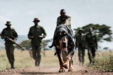 Poachers kill six troops, two others in Cameroon wildlife park