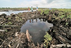 Why burn it? Govt studies peatland conservation, management