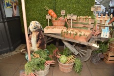 Sony apologizes to parents over 'Peter Rabbit' food allergy scene