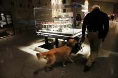 New York bomber sentenced to life in prison