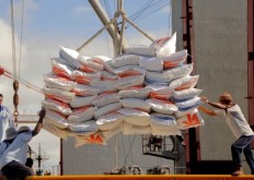 Agriculture minister reluctant to comment on new rice import permit