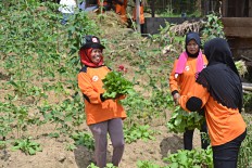 Farmers use organic farming to reduce dependence on imported pesticides, fertilizers 