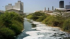 3 factories on Bekasi riverbank do not have permit to dispose of liquid waste