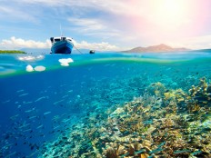 Seven lesser-known dive areas in Indonesia 